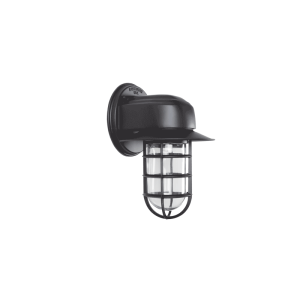 Streamline Flared Wall Light in Black Ace w/ Standard Cast Guard & Clear Glass
