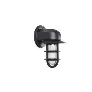 Streamline Flared Wall Light in Black Ace w/ Thick Cast Guard & Clear Glass