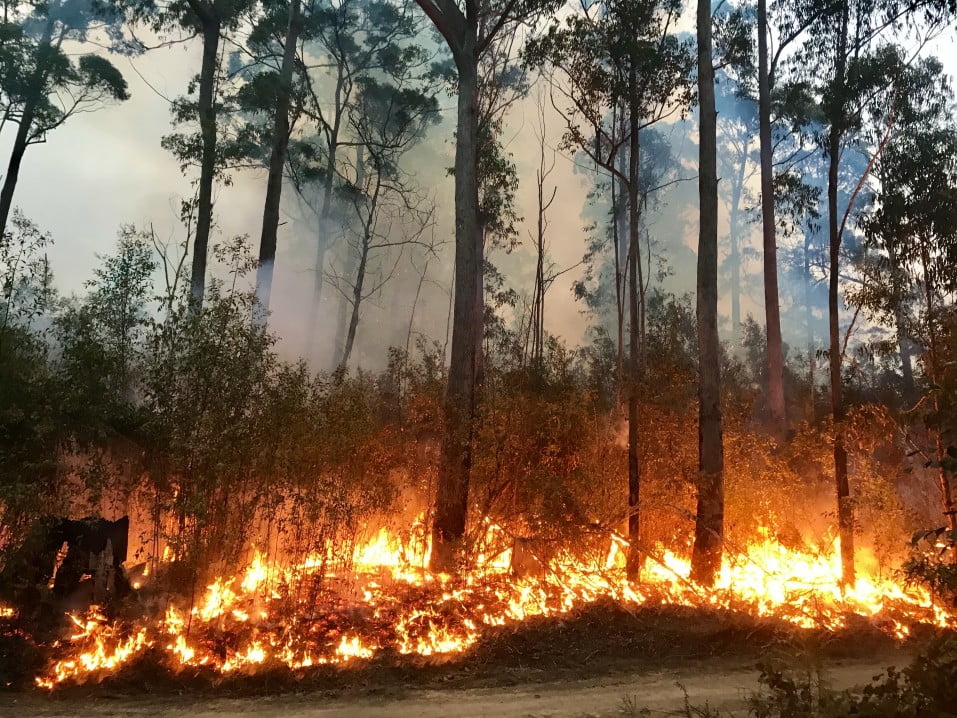 bushfire in outback australia |