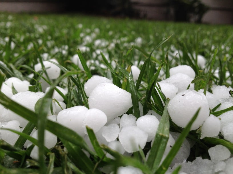 hailstones in grass |