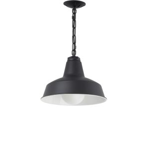 The Austin Chain Hung Pendant