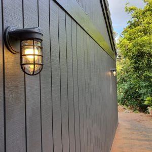 Static Wall Light in Black Ace Standard Guard IP55 Outdoor Rated