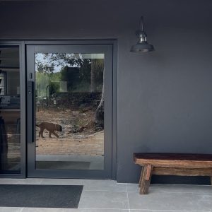 A dark grey wall-mounted outdoor light fixture illuminates the entrance to a modern home with a glass door and a wooden bench