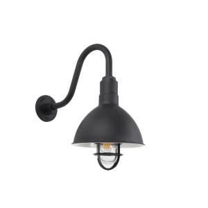 A black gooseneck wall light with a clear glass dome and exposed LED bulb is shown against a black background
