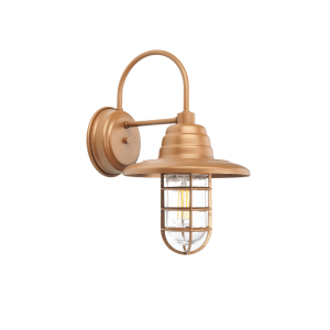 A rustic bronze outdoor wall light with a caged glass shade