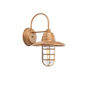 A rustic bronze outdoor wall light with a caged glass shade