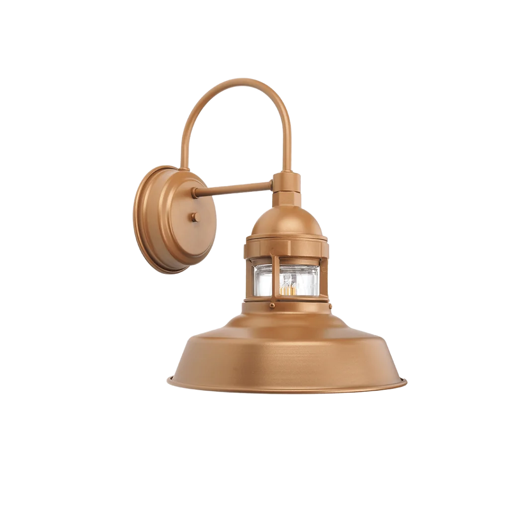 A bronze gooseneck wall light with a clear glass shade is shown against a black background