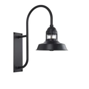 A black gooseneck wall light with a clear glass shade is shown against a white background
