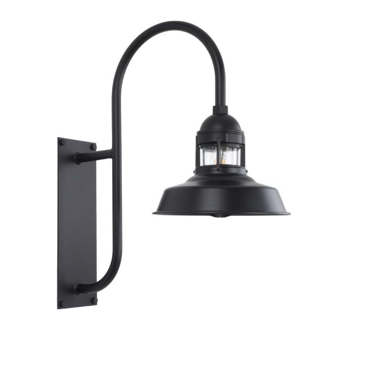 A black gooseneck wall light with a clear glass shade is shown against a white background