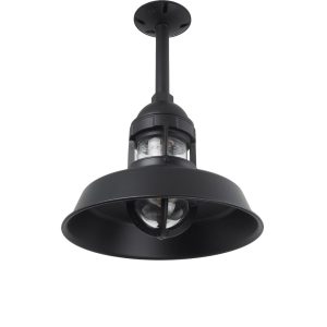 Internal of Sydney Stem Pendant in Black