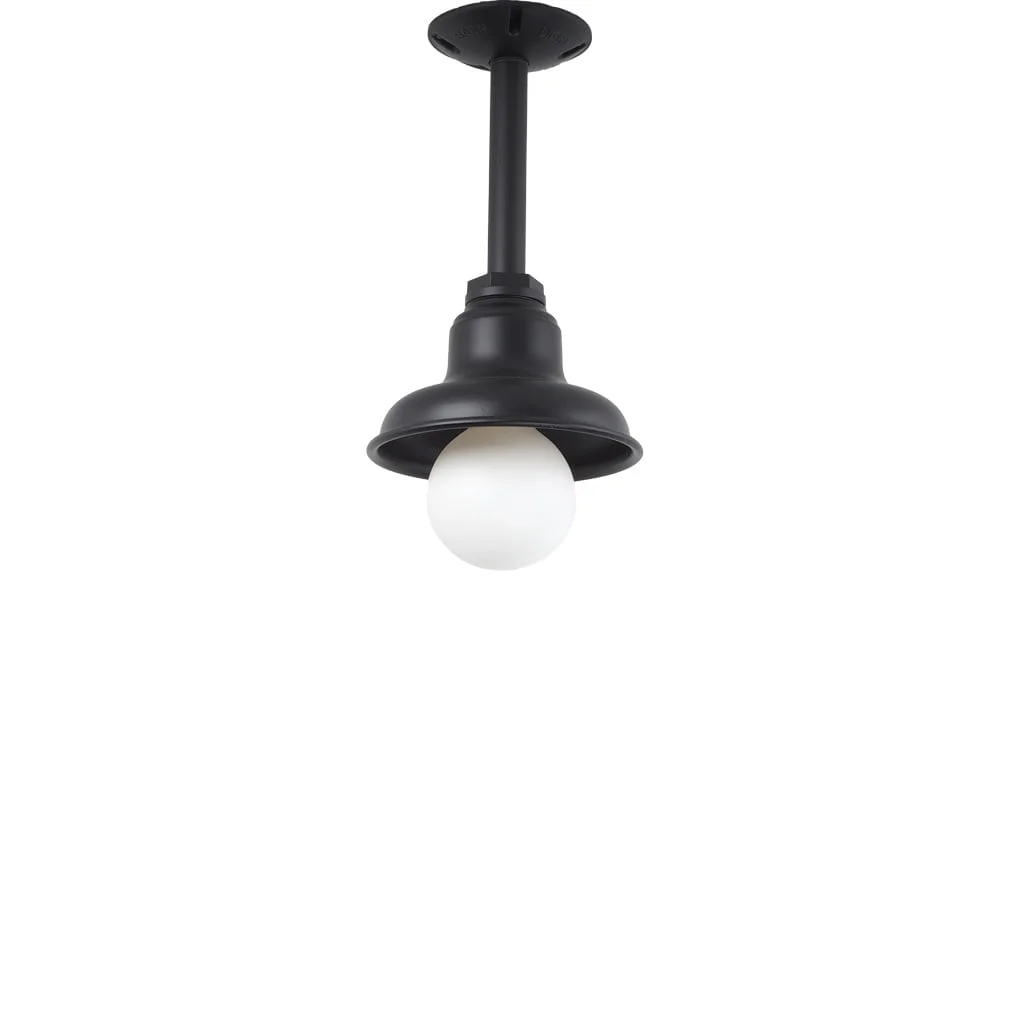 Stem Pendant Light in Black