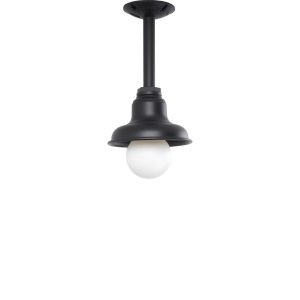 Stem Pendant in Black
