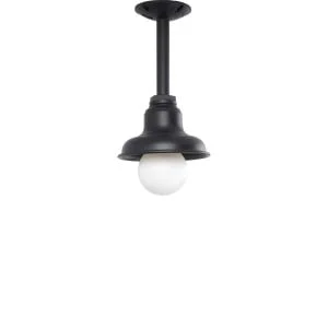 Stem Pendant in Black