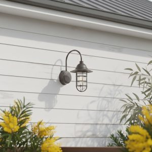 Wall-mounted lantern besides Australian golden wattle