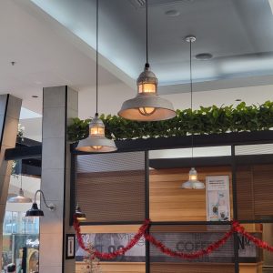Industrial Pendant Lights