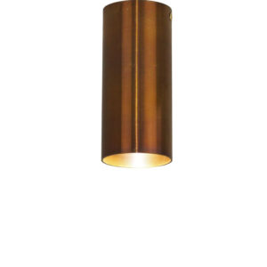 caramel patina brass ceiling/surface mounted light
