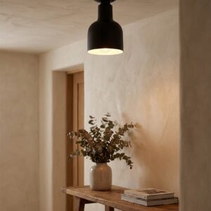 series_2_flush_black_entry