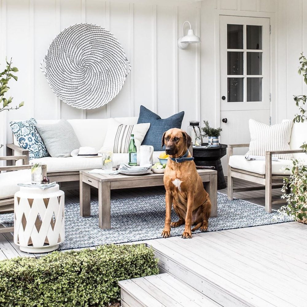 Our Austin Wall Light in Pearl White Gloss. Image & Doggo courtesy of Cottonwood & Co.