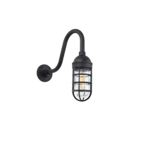 Gooseneck Mounted Bunker Light with Clear Glass. Shown in Black