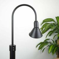 20cm Frontier Post Mount Light in Black Ace shown with white background and plant adjacent