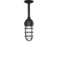 IP55 Rated Caged Ceiling Light in Black